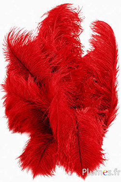 Strauss - 32-42 cm - hellgrau-rot